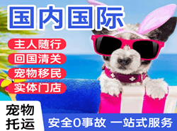 音布鲁克航空快运国际宠物托运 【国