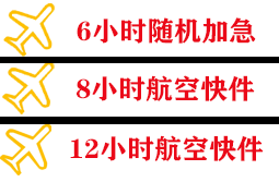 音布鲁克航空快运快递公司,专业空运当天件